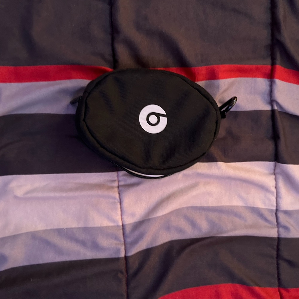 Beats case